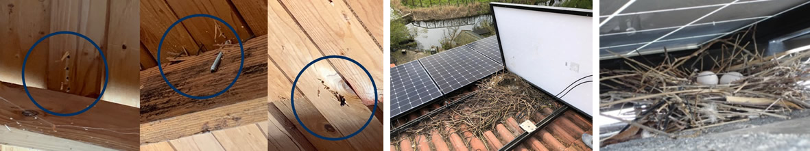 Solar Roof Install